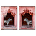 Zebras Apartment is Coral Pink Set