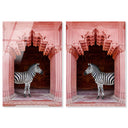 Zebras Apartment is Coral Pink Set