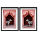 Zebras Apartment is Coral Pink Set