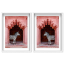 Zebras Apartment is Coral Pink Set