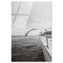 Taormina Diving Noir
