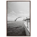 Taormina Diving Noir
