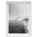 Taormina Diving Noir