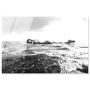 Waiting for the Waves B&W