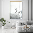 Sailing and Diving