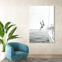Sailing and Diving