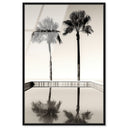 Two Palms