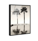 Two Palms