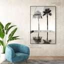 Two Palms