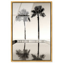 Two Palms