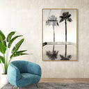 Two Palms