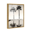 Two Palms