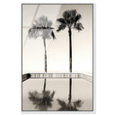 Two Palms