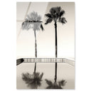 Two Palms