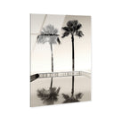 Two Palms