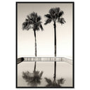 Two Palms