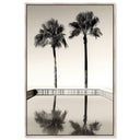 Two Palms
