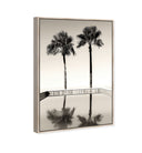 Two Palms