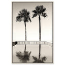 Two Palms