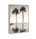 Two Palms
