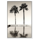 Two Palms