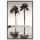 Two Palms