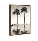 Two Palms