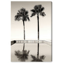 Two Palms