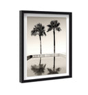 Two Palms