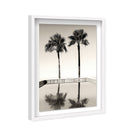 Two Palms