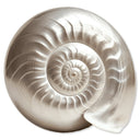 Nautilus Shell I | Acrylic Silhouette