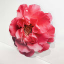Flower | Acrylic Silhouette 2