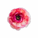 Flower | Acrylic Silhouette 6