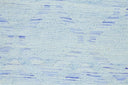 Cosmo 8624F Polar