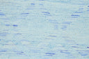 Cosmo 8624F Polar