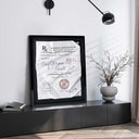 RX-Luxury Private Jet - Personalize It
