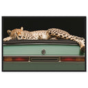 Sleepy Cadi Cheetah