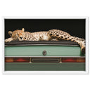 Sleepy Cadi Cheetah