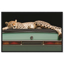 Sleepy Cadi Cheetah
