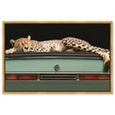 Sleepy Cadi Cheetah
