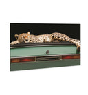 Sleepy Cadi Cheetah