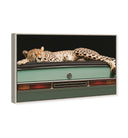 Sleepy Cadi Cheetah