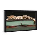 Sleepy Cadi Cheetah
