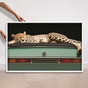 Sleepy Cadi Cheetah