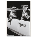Convertible Feline II