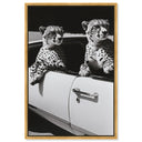 Convertible Feline II