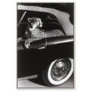 Convertible Feline I