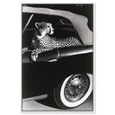 Convertible Feline I