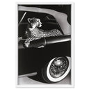 Convertible Feline I