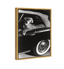 Convertible Feline I